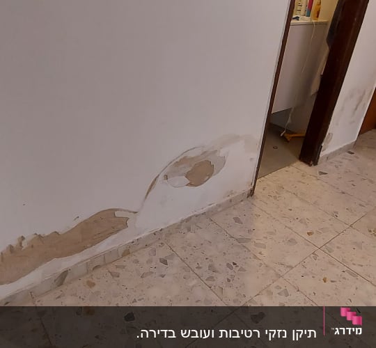 קיר עם קילופי צבע ותיקונים נדרשים